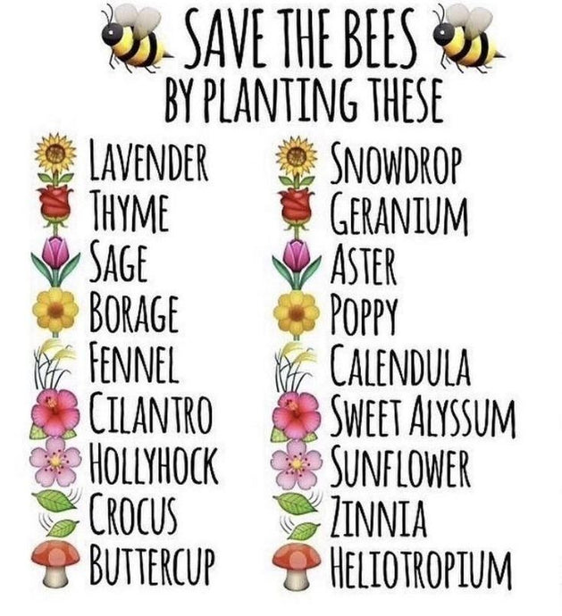 Blue Bee tips on planting a bee garden 🐝