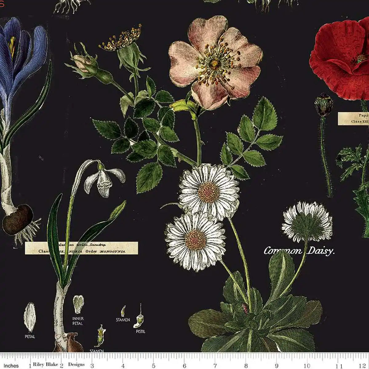 Art Journal - Botanicals - Black - J. Wecker Frisch with Riley Blake Designs
