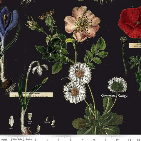 Art Journal - Botanicals - Black - J. Wecker Frisch with Riley Blake Designs