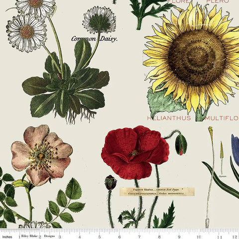 Art Journal - Botanicals - Gray -J. Wecker Frisch with Riley Blake Designs