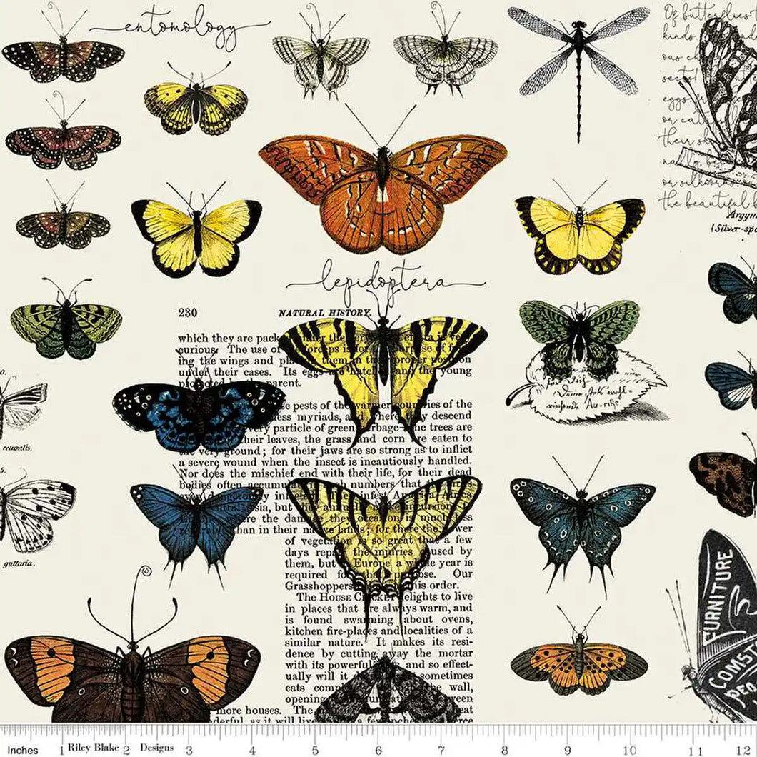 Art Journal - Butterflies - Light Gray -J. Wecker Frisch with Riley Blake Designs